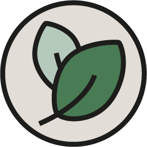 Grønt bladikon med beige bakgrunn