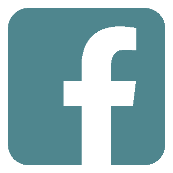 Facebook icon petrol