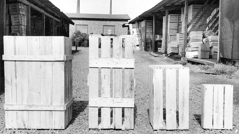 Boxons historie